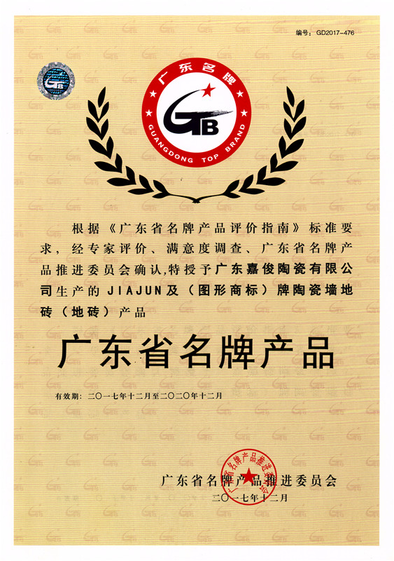 广东省名牌大象视频APP免费观看入口（地砖）